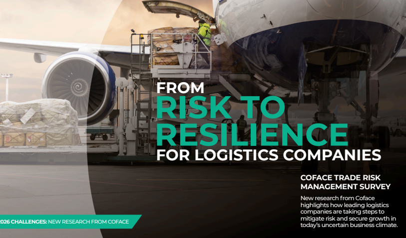 From Risk to Resilience for Logistics Companies